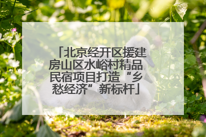 北京经开区援建房山区水峪村精品民宿项目打造“乡愁经济”新标杆