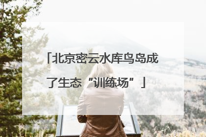 北京密云水库鸟岛成了生态“训练场”