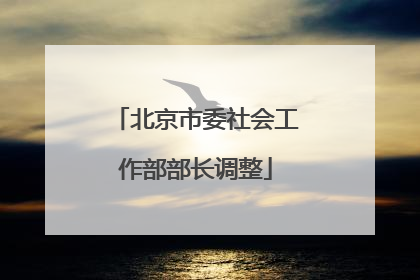 北京市委社会工作部部长调整