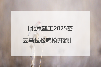 北京建工2025密云马拉松鸣枪开跑