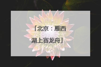北京：雁西湖上赛龙舟