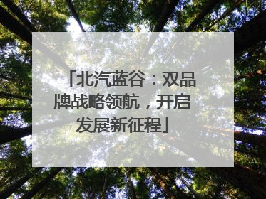 北汽蓝谷：双品牌战略领航，开启发展新征程