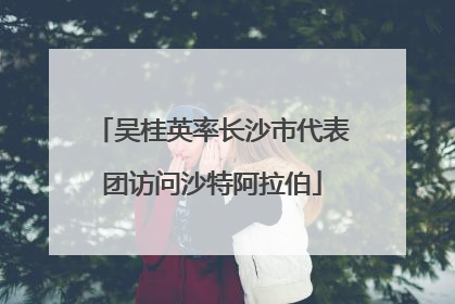 吴桂英率长沙市代表团访问沙特阿拉伯