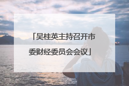 吴桂英主持召开市委财经委员会会议