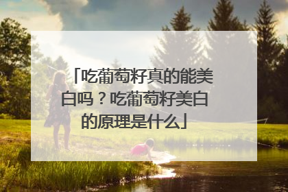 吃葡萄籽真的能美白吗？吃葡萄籽美白的原理是什么