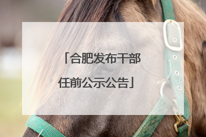 合肥发布干部任前公示公告