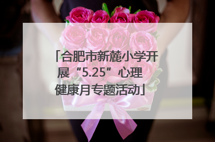 合肥市新麓小学开展“5.25”心理健康月专题活动