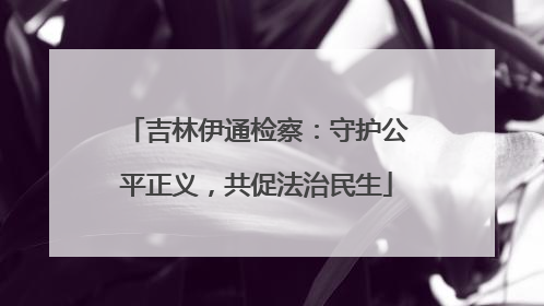 吉林伊通检察：守护公平正义，共促法治民生