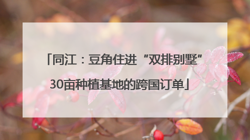 同江：豆角住进“双排别墅” 30亩种植基地的跨国订单