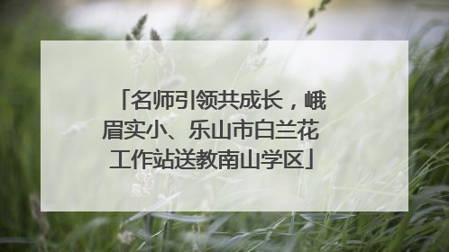 名师引领共成长，峨眉实小、乐山市白兰花工作站送教南山学区