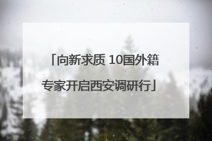 向新求质 10国外籍专家开启西安调研行