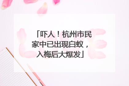 吓人！杭州市民家中已出现白蚁，入梅后大爆发