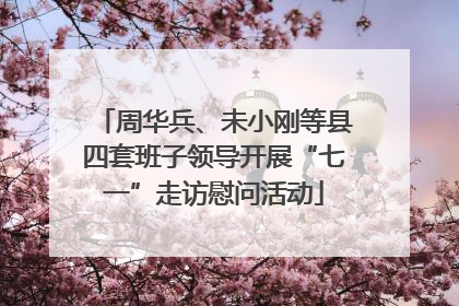 周华兵、未小刚等县四套班子领导开展“七一”走访慰问活动