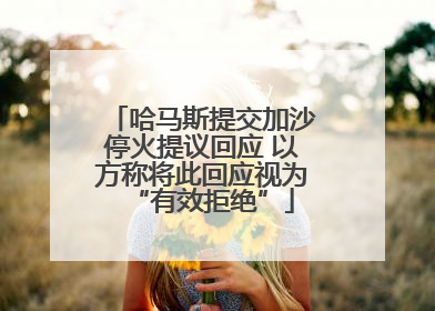 哈马斯提交加沙停火提议回应 以方称将此回应视为“有效拒绝”