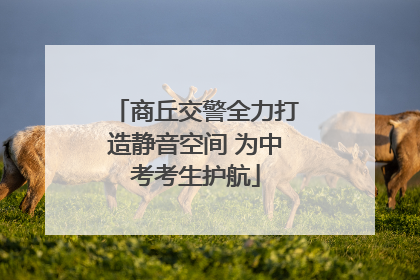 商丘交警全力打造静音空间 为中考考生护航