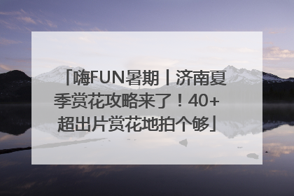嗨FUN暑期丨济南夏季赏花攻略来了！40+超出片赏花地拍个够