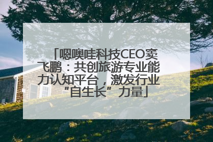 嗯噢哇科技CEO窦飞鹏：共创旅游专业能力认知平台，激发行业“自生长”力量