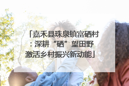 嘉禾县珠泉镇富硒村：深耕“硒”望田野 激活乡村振兴新动能