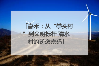 嘉禾：从“拳头村”到文明标杆 清水村的逆袭密码
