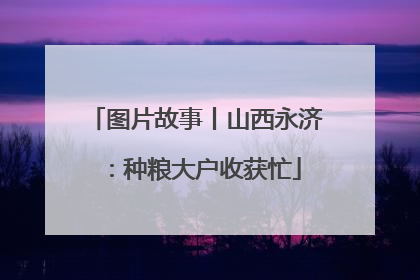 图片故事丨山西永济：种粮大户收获忙