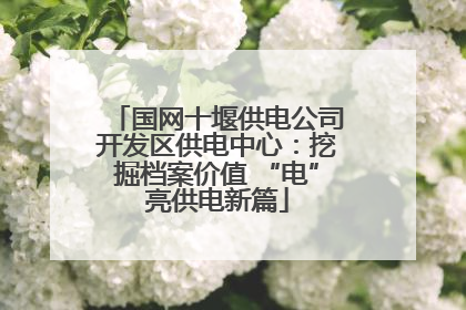 国网十堰供电公司开发区供电中心：挖掘档案价值 “电”亮供电新篇