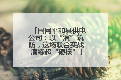 国网平和县供电公司：以“演”筑防，这场联合实战演练超“硬核”