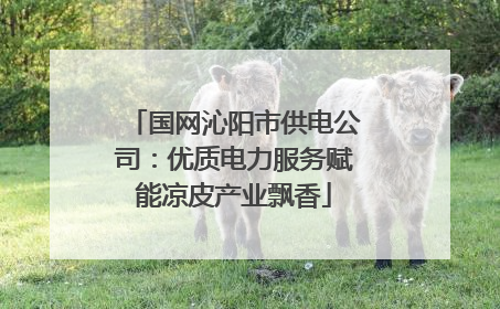 国网沁阳市供电公司：优质电力服务赋能凉皮产业飘香