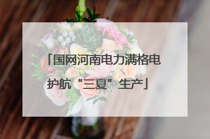 国网河南电力满格电护航“三夏”生产