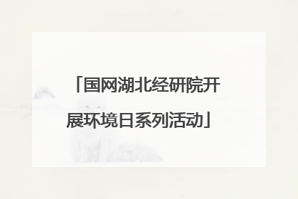 国网湖北经研院开展环境日系列活动