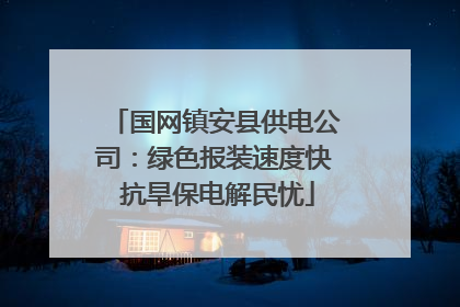 国网镇安县供电公司：绿色报装速度快 抗旱保电解民忧