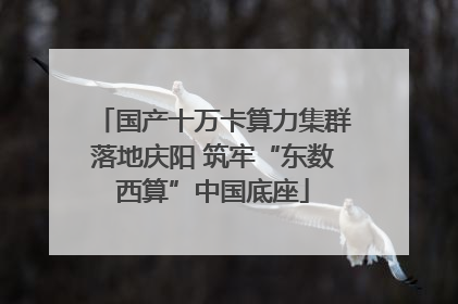 国产十万卡算力集群落地庆阳 筑牢“东数西算”中国底座