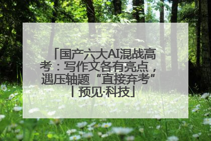 国产六大AI混战高考：写作文各有亮点，遇压轴题“直接弃考”丨预见·科技
