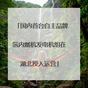 国内首台自主品牌氢内燃机发电机组在湖北投入运营
