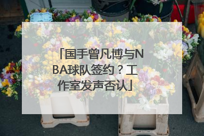 国手曾凡博与NBA球队签约？工作室发声否认
