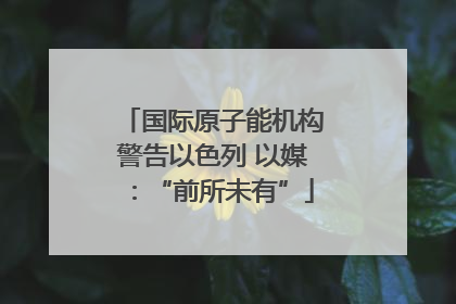 国际原子能机构警告以色列 以媒：“前所未有”