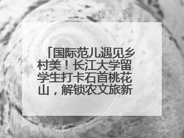 国际范儿遇见乡村美！长江大学留学生打卡石首桃花山，解锁农文旅新玩法！