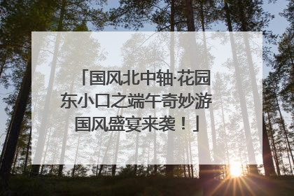 国风北中轴·花园东小口之端午奇妙游国风盛宴来袭！