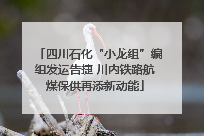 四川石化“小龙组”编组发运告捷 川内铁路航煤保供再添新动能