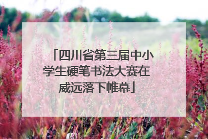 四川省第三届中小学生硬笔书法大赛在威远落下帷幕