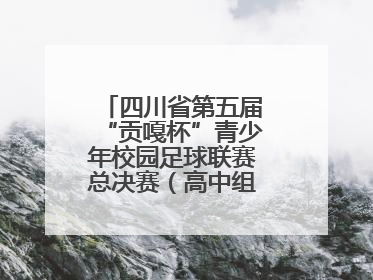 四川省第五届“贡嘎杯”青少年校园足球联赛总决赛（高中组）火热开赛
