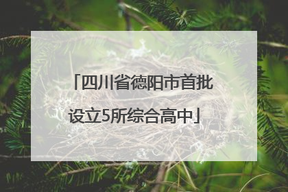 四川省德阳市首批设立5所综合高中