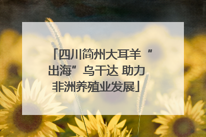 四川简州大耳羊“出海”乌干达 助力非洲养殖业发展