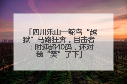 四川乐山一鸵鸟“越狱”马路狂奔，目击者：时速超40码，还对我“笑”了下