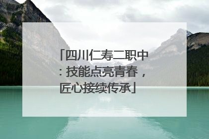 四川仁寿二职中：技能点亮青春，匠心接续传承