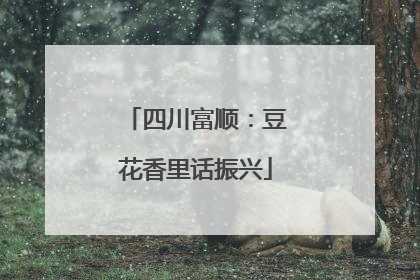 四川富顺：豆花香里话振兴