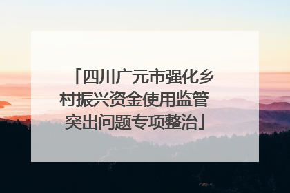 四川广元市强化乡村振兴资金使用监管突出问题专项整治