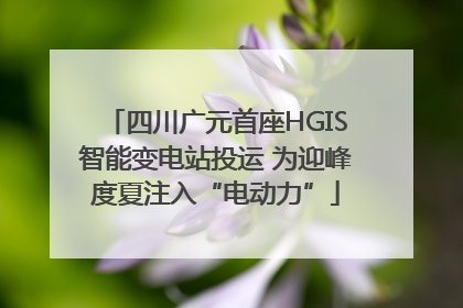 四川广元首座HGIS智能变电站投运 为迎峰度夏注入“电动力”
