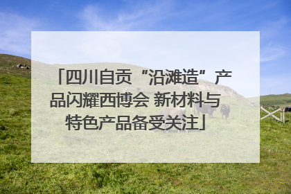 四川自贡“沿滩造”产品闪耀西博会 新材料与特色产品备受关注
