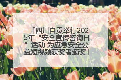 四川自贡举行2025年“安全宣传咨询日”活动 为应急安全公益短视频获奖者颁奖