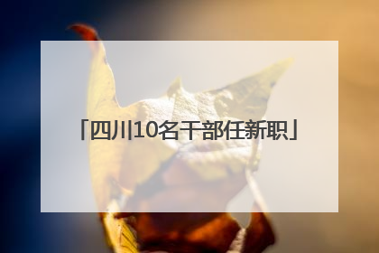 四川10名干部任新职